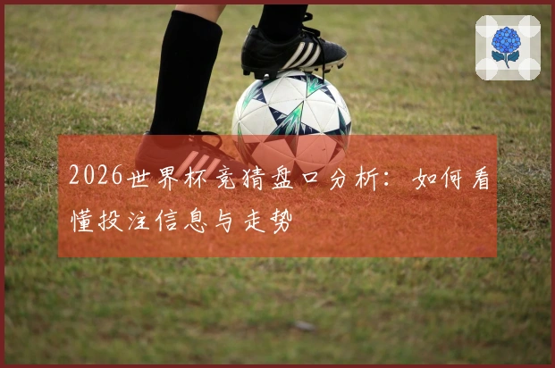 2026世界杯竞猜盘口分析：如何看懂投注信息与走势