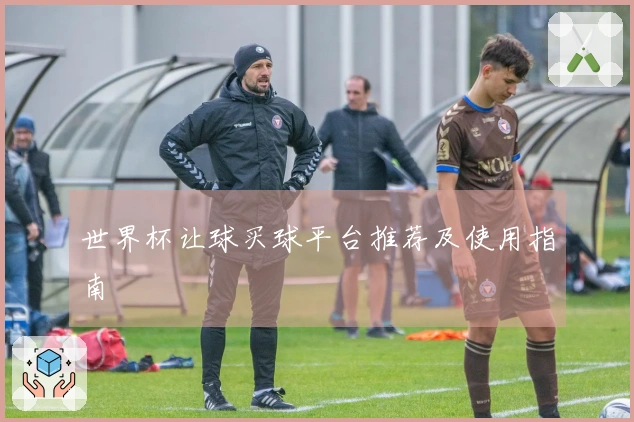 世界杯让球买球平台推荐及使用指南