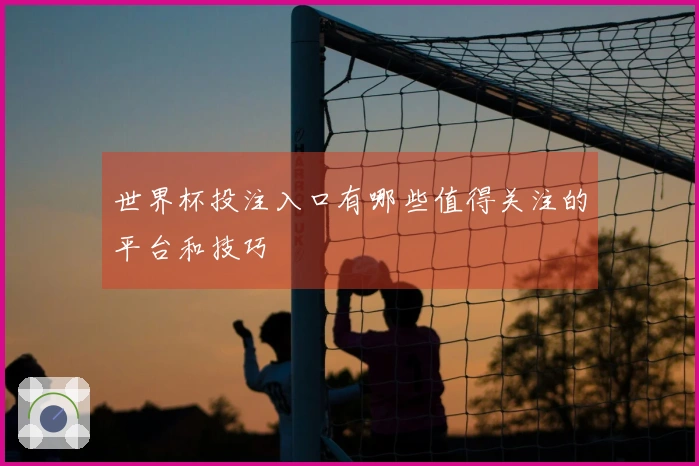 世界杯投注入口有哪些值得关注的平台和技巧