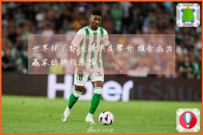 世界杯买球竞猜热度攀升 谁会成为赢家的热门选择