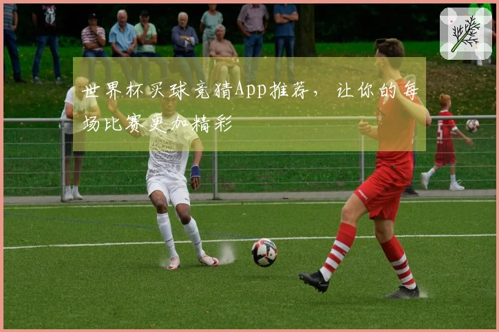 世界杯买球竞猜App推荐,让你的每场比赛更加精彩