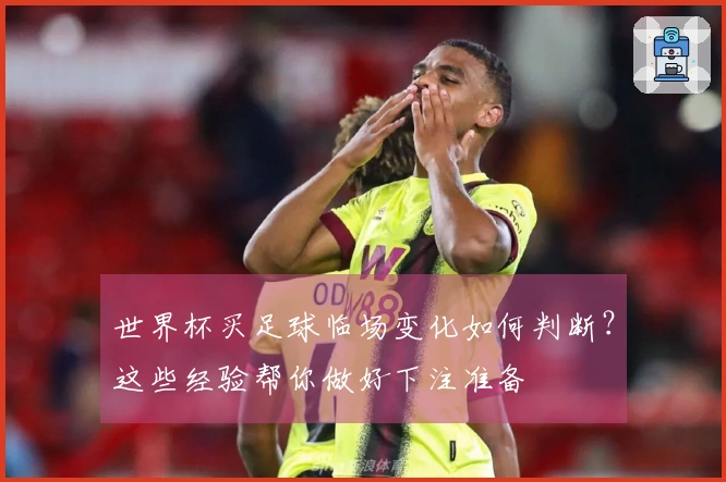 世界杯买足球临场变化如何判断？这些经验帮你做好下注准备