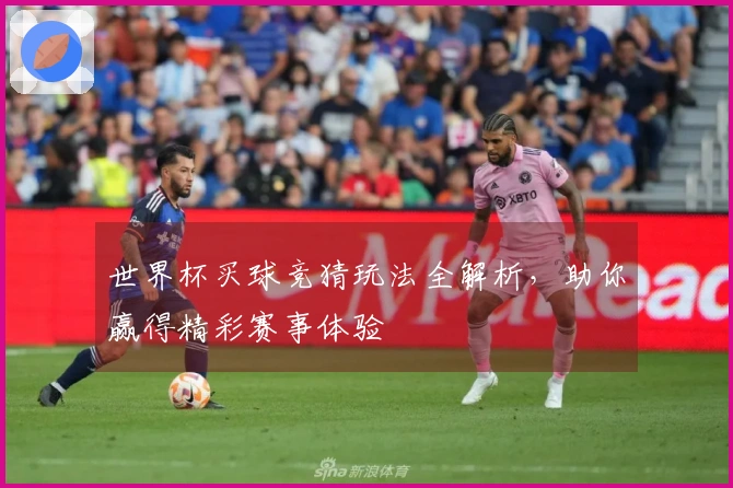 世界杯买球竞猜玩法全解析，助你赢得精彩赛事体验