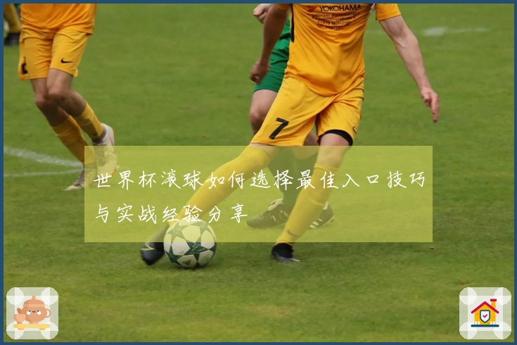 世界杯滚球如何选择最佳入口技巧与实战经验分享
