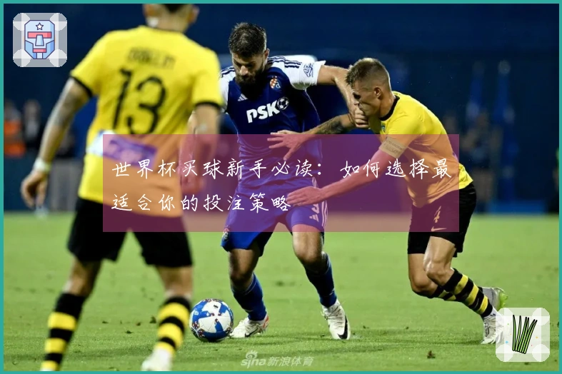 世界杯买球新手必读：如何选择最适合你的投注策略