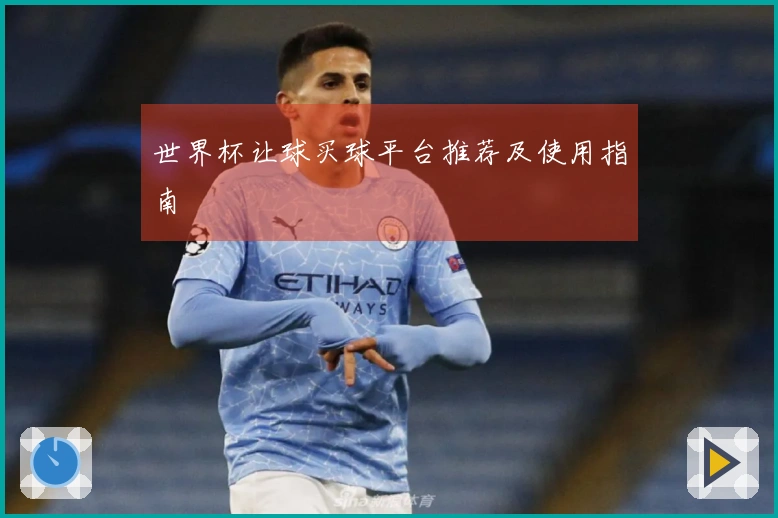 世界杯让球买球平台推荐及使用指南