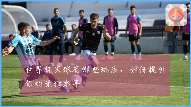 世界杯买球有哪些玩法，如何提升你的竞猜水平
