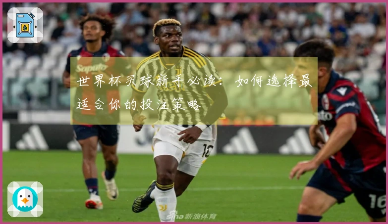 世界杯买球新手必读：如何选择最适合你的投注策略