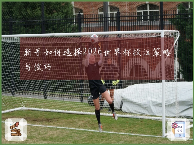 新手如何选择2026世界杯投注策略与技巧